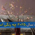 رنگ سال ۲۰۲۵ پنتون چه رنگی است ؟ + جزئیات رنگ سال ۲۰۲۵ پنتون