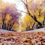 پاییز امسال کم‌بارش و زمستان با گرمای هوا