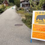 ژاپن ارتش خود را برای مقابله با حملات خرس‌ها مستقر کرد