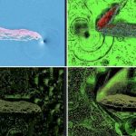 تصویر جنجالی 3I/ATLAS گمانه‌زنی‌ها درباره فناوری بیگانه را مطرح می‌کند