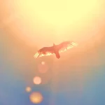 تابستان می‌تواند تا پایان این سده ۴۲ روز طولانی‌تر شود