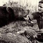 خرس ایرانی که به نماد ارتش لهستان در جنگ جهانی دوم تبدیل شد