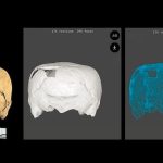 کشف جمجمه مکعبی‌شکل انسانی متعلق به ۱۴۰۰ سال پیش در مکزیک